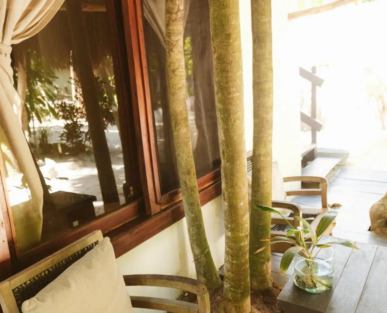 Casa Violeta Hotel Tulum