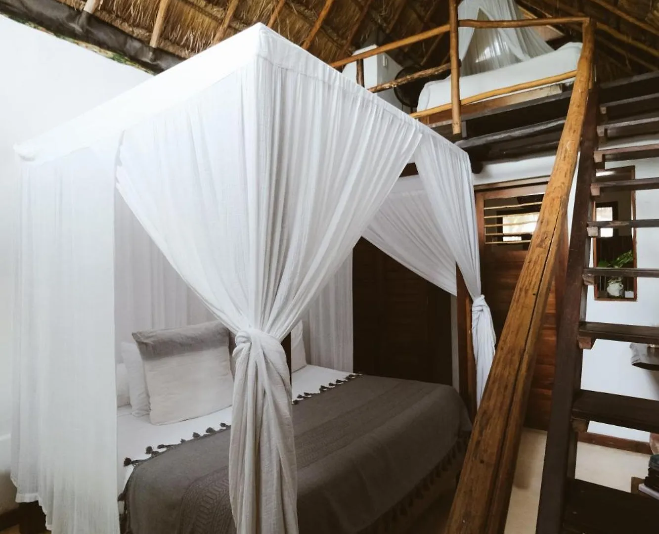 Casa Violeta Hotel Tulum