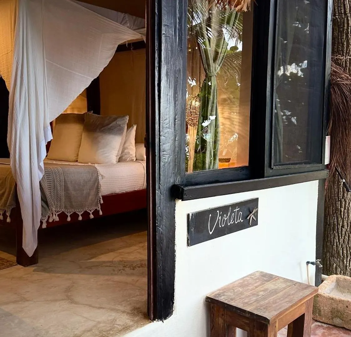 Casa Violeta Hotel Tulum 3*,