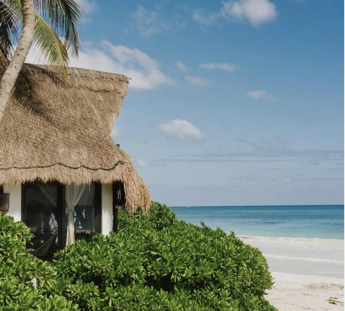 Casa Violeta Hotel Tulum