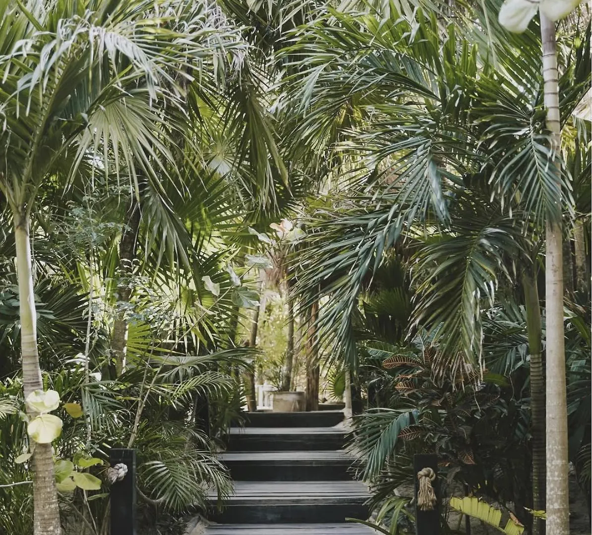 ***  Casa Violeta Hotel Tulum Pueblo Mexico