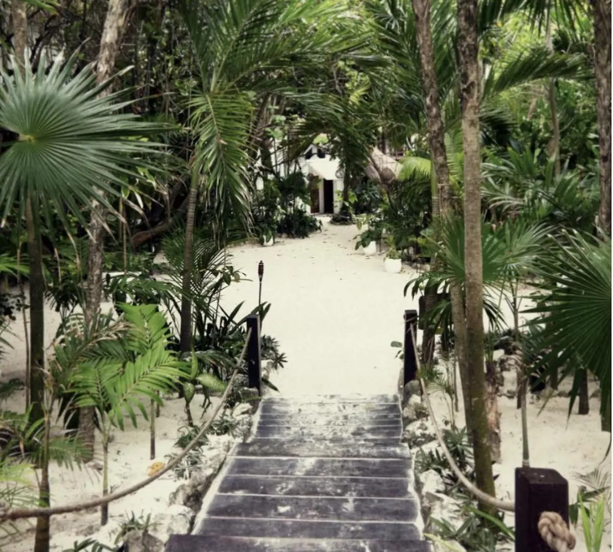 Casa Violeta Hotel Tulum