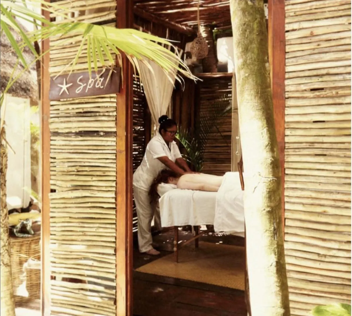 Casa Violeta Hotel Tulum Pueblo 3*,