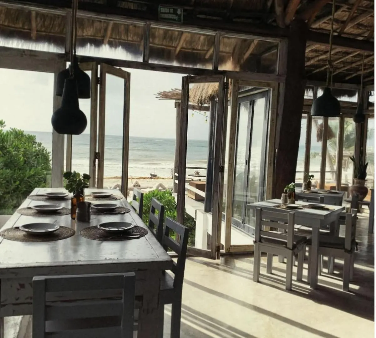 Casa Violeta Hotel Tulum