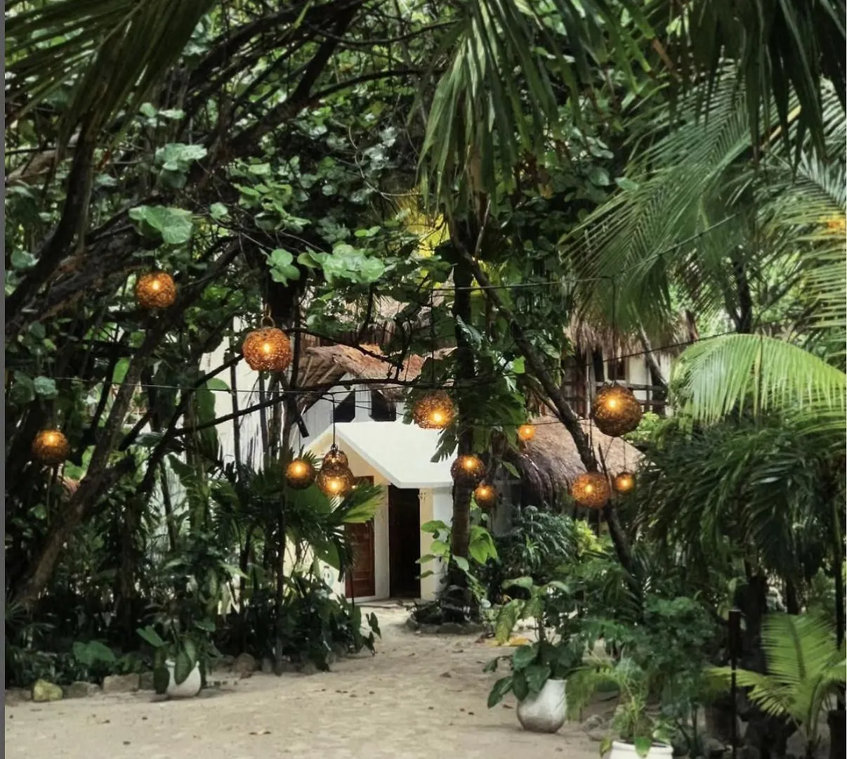 Casa Violeta Hotel Tulum