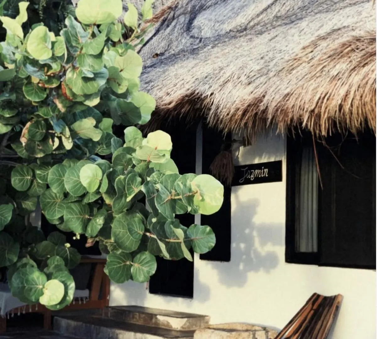 Casa Violeta Hotel Tulum Pueblo