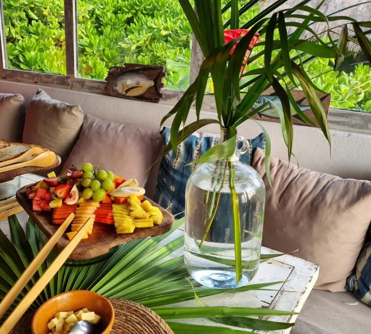 Casa Violeta Hotel Tulum