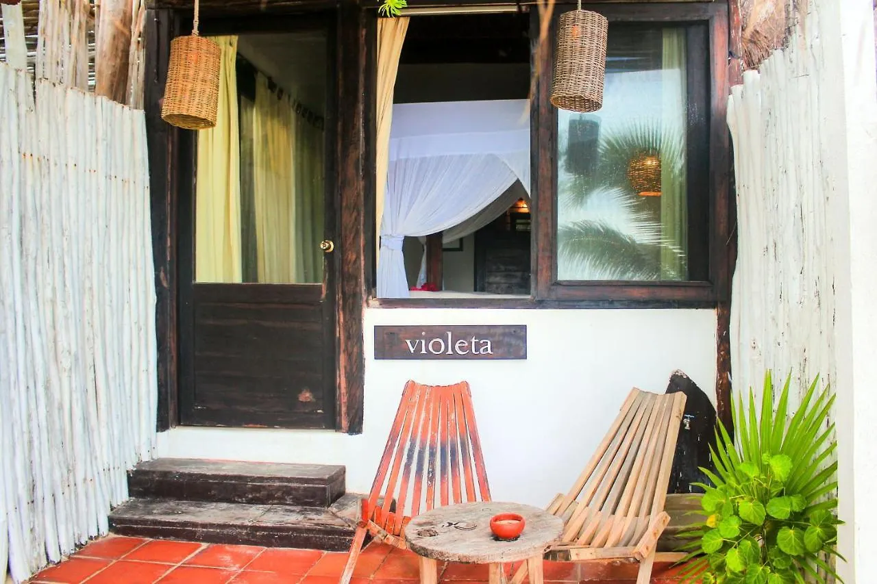 Casa Violeta Hotel Tulum