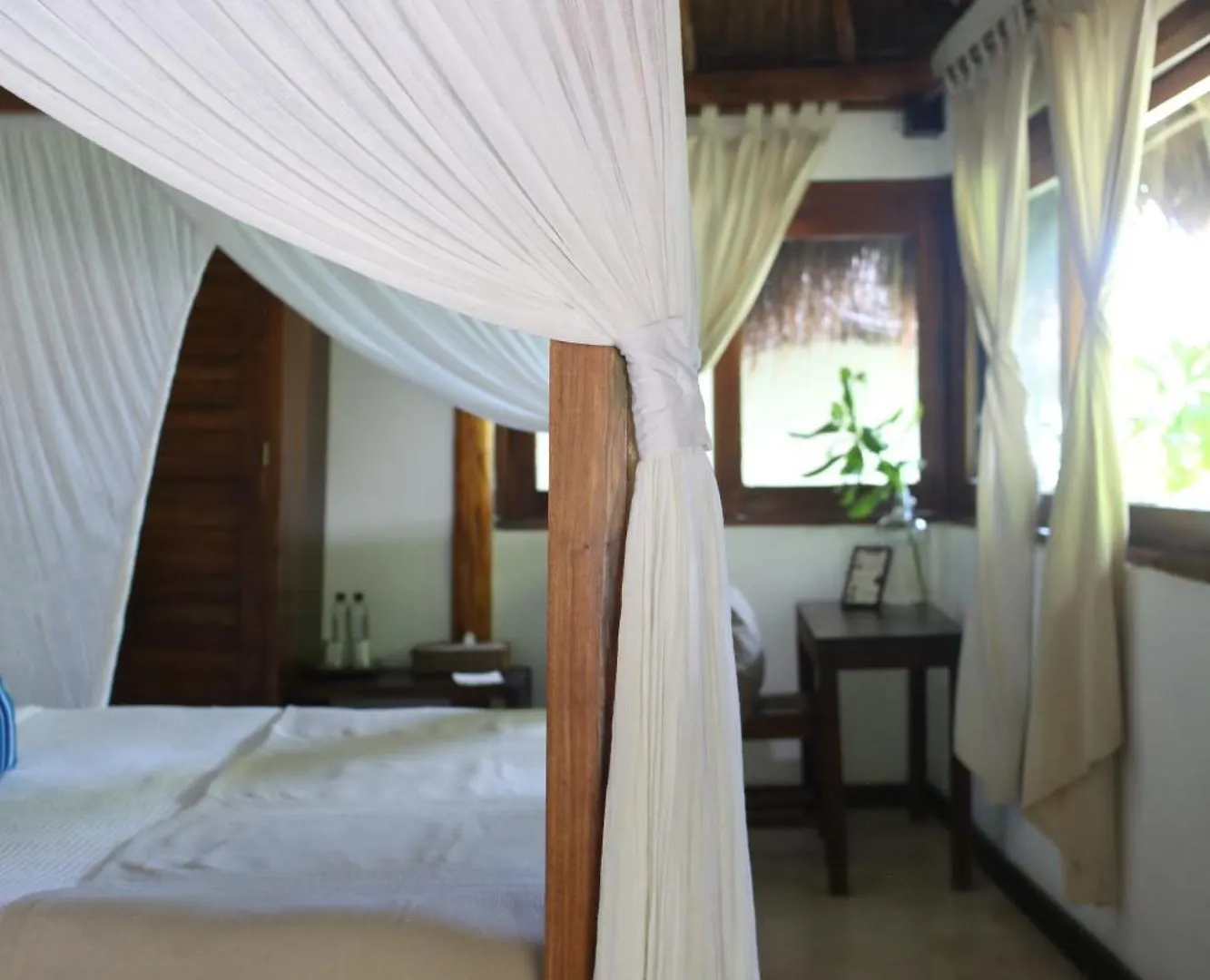 Casa Violeta Hotel Tulum Mexico