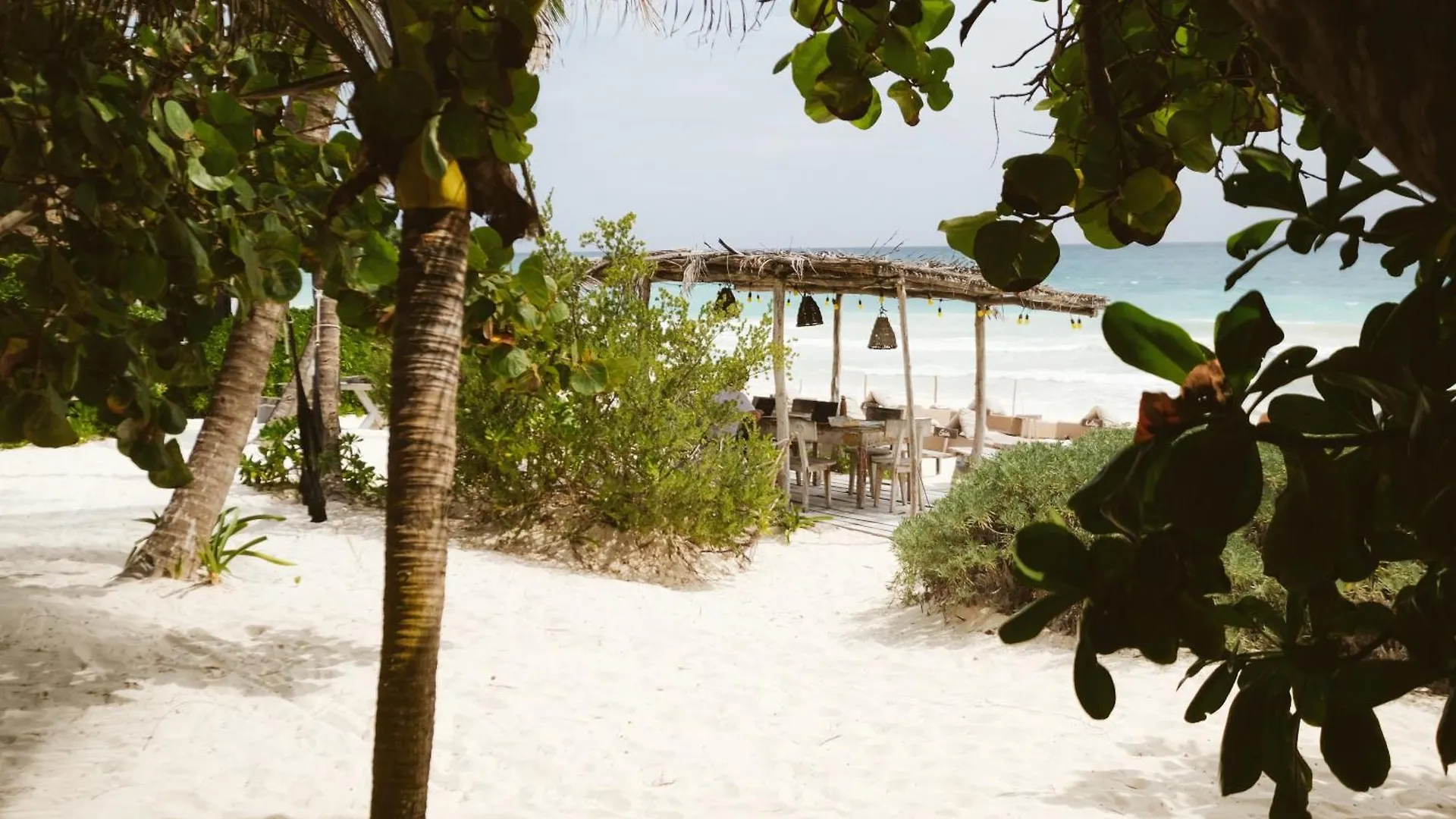Casa Violeta Hotel Tulum
