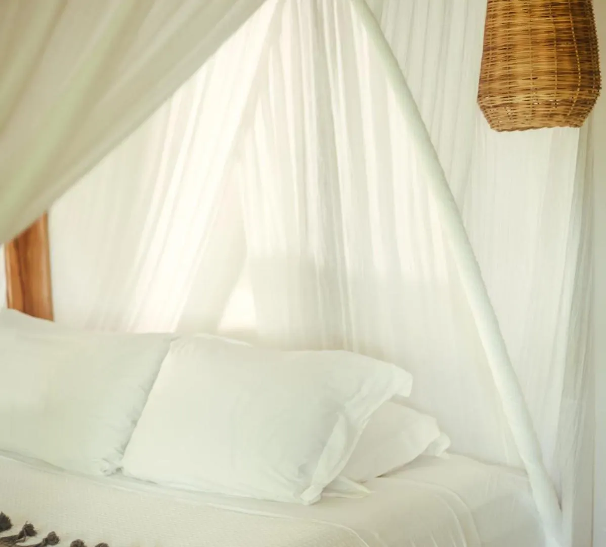 Casa Violeta Hotel Tulum