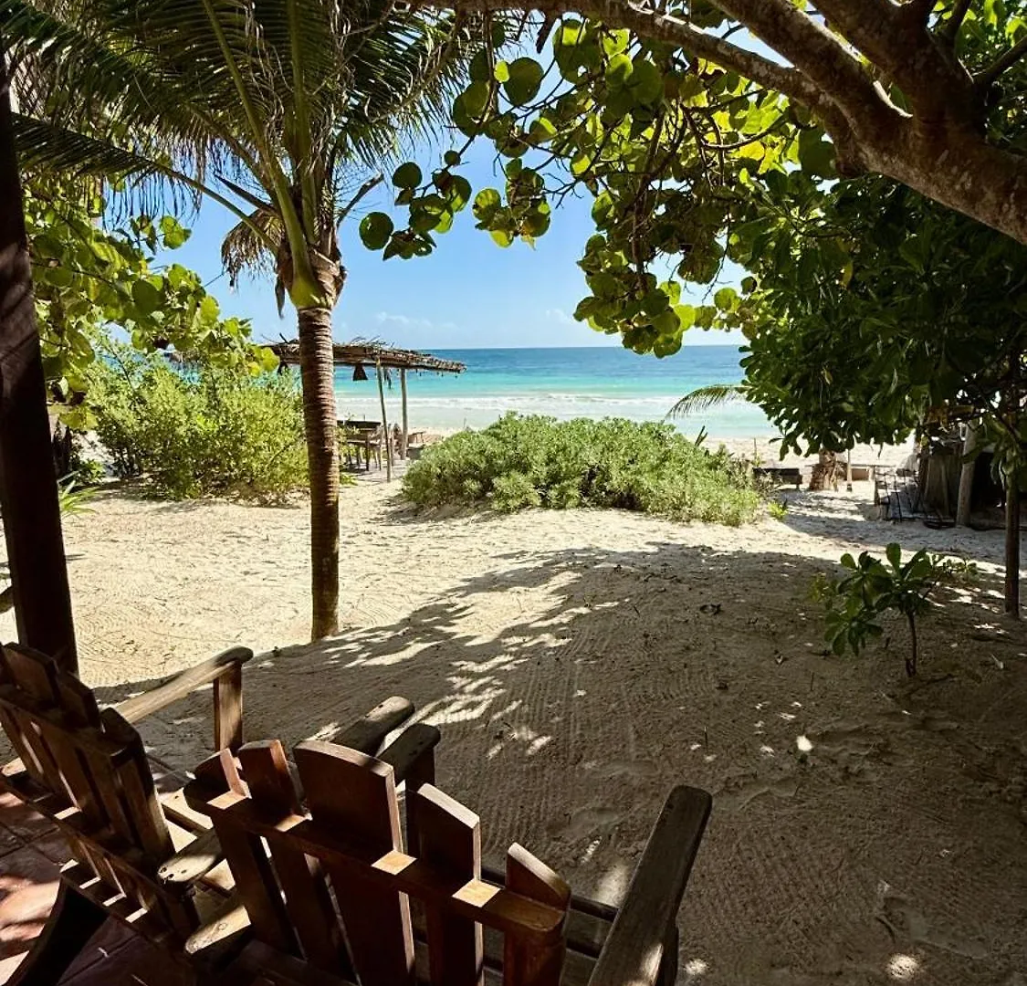 Casa Violeta Hotel Tulum