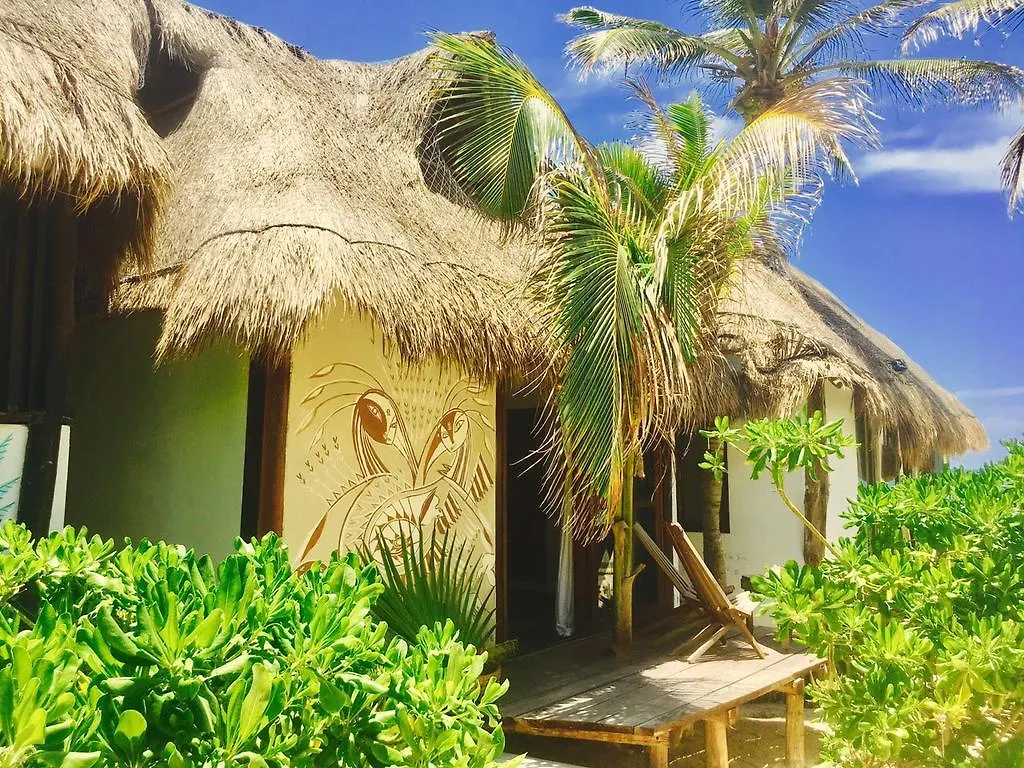 Hotel Casa Violeta Tulum Messico