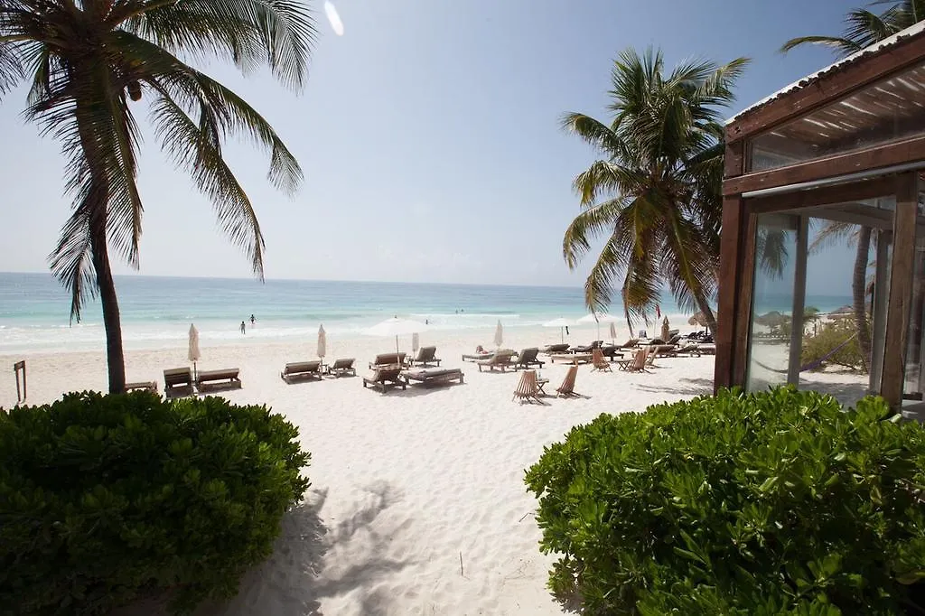 Casa Violeta Hotel Tulum Mexico