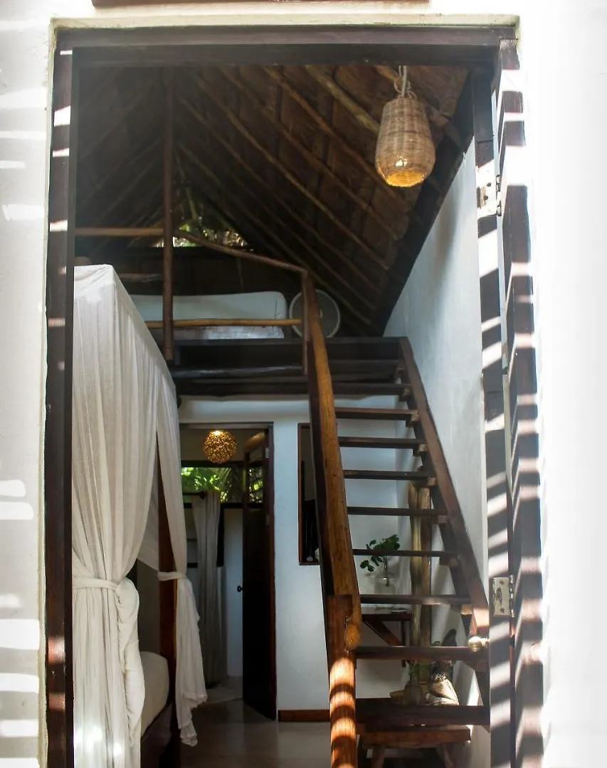 Casa Violeta Hotel Tulum