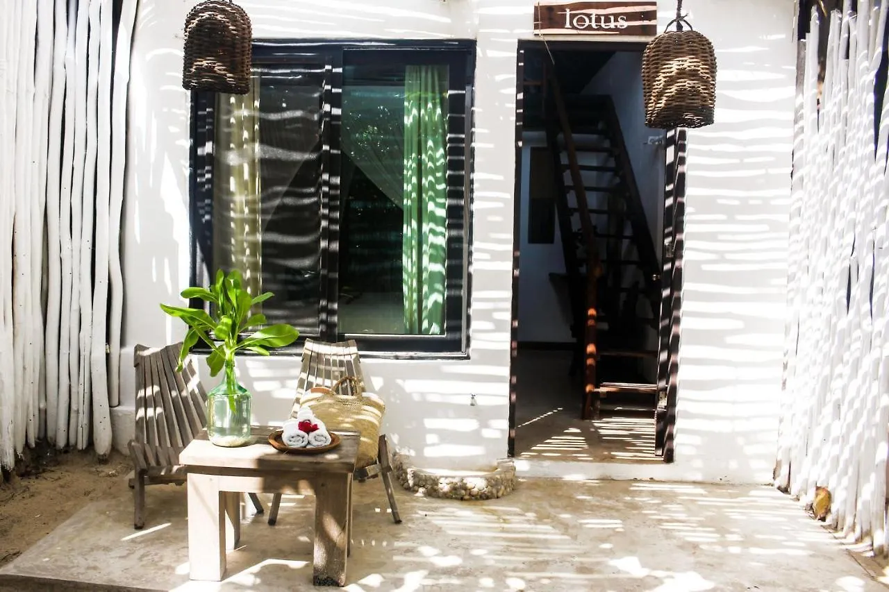 Casa Violeta Hotel Tulum
